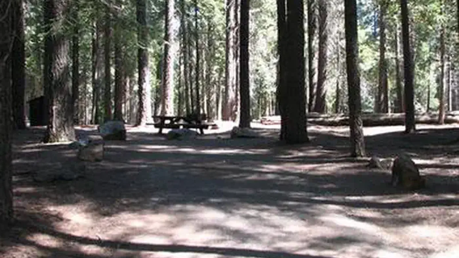 WENCH CREEK