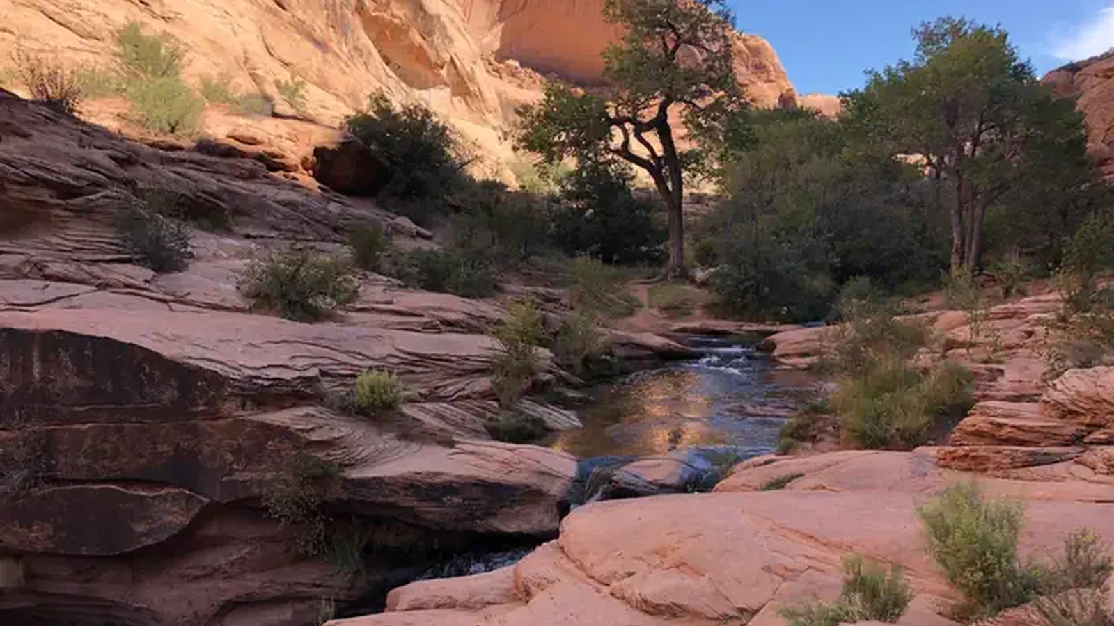 Moab Pic Sunset