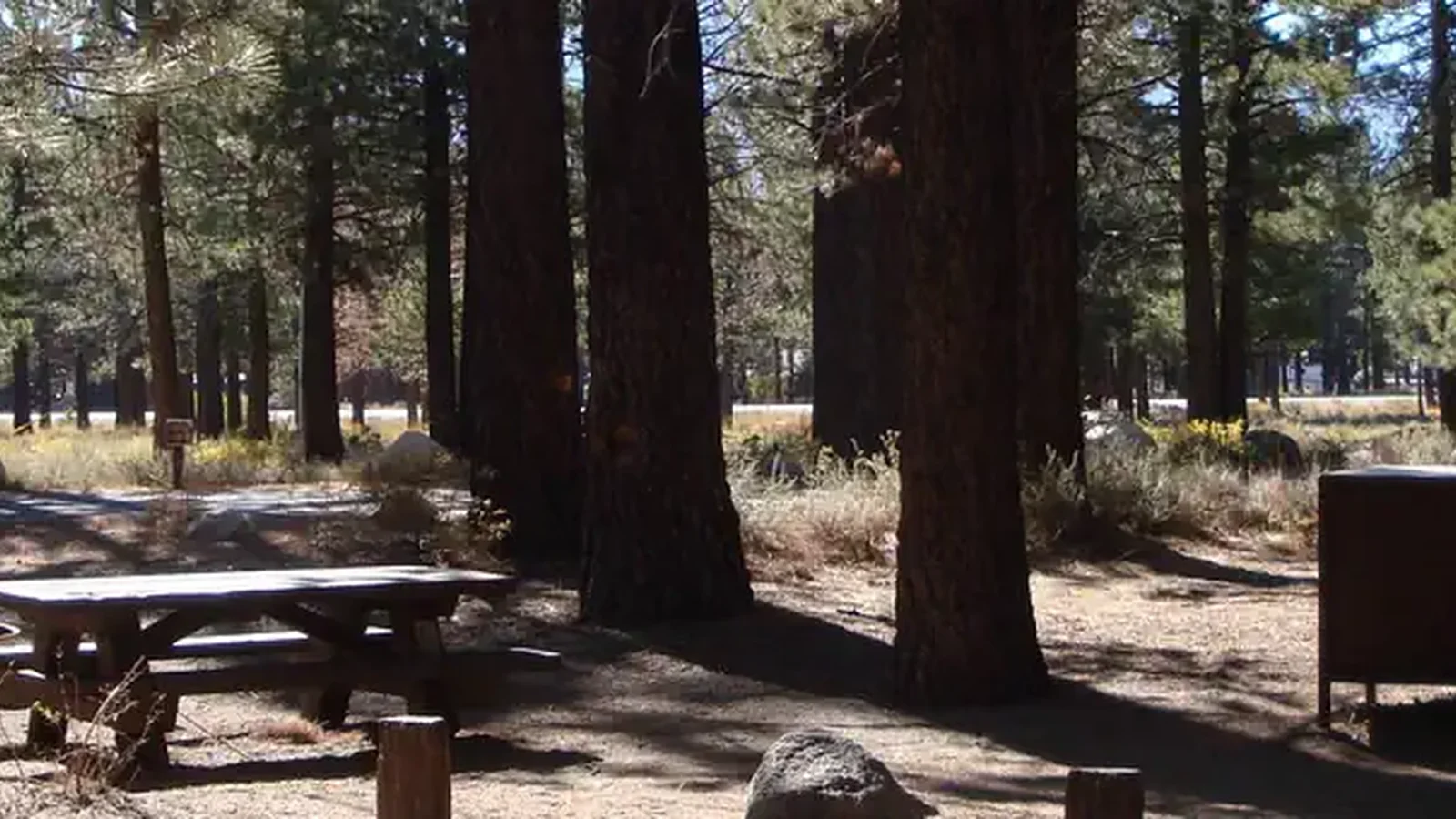 New Shady Rest Campground