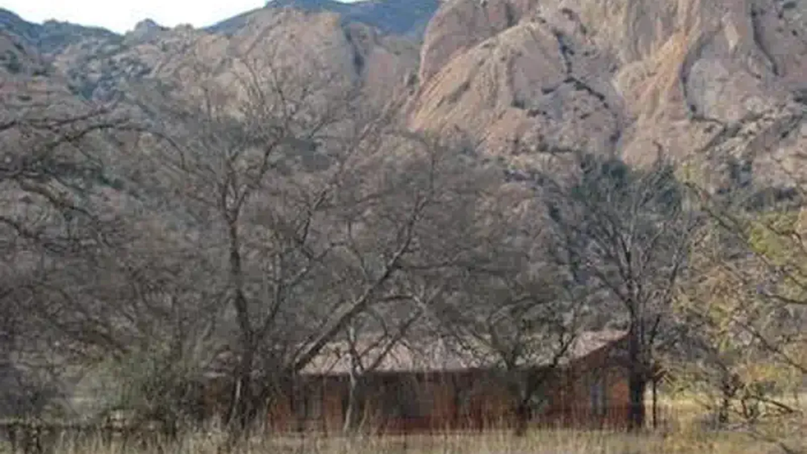 HALF MOON RANCH LANDSCAPE