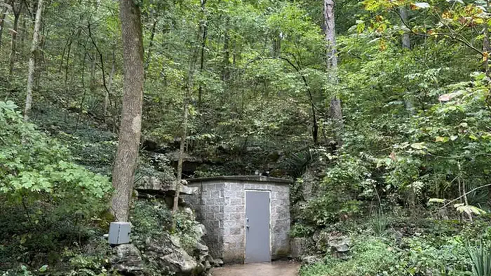 Metal door in the side of the hill surrounded with green trees and shrubs