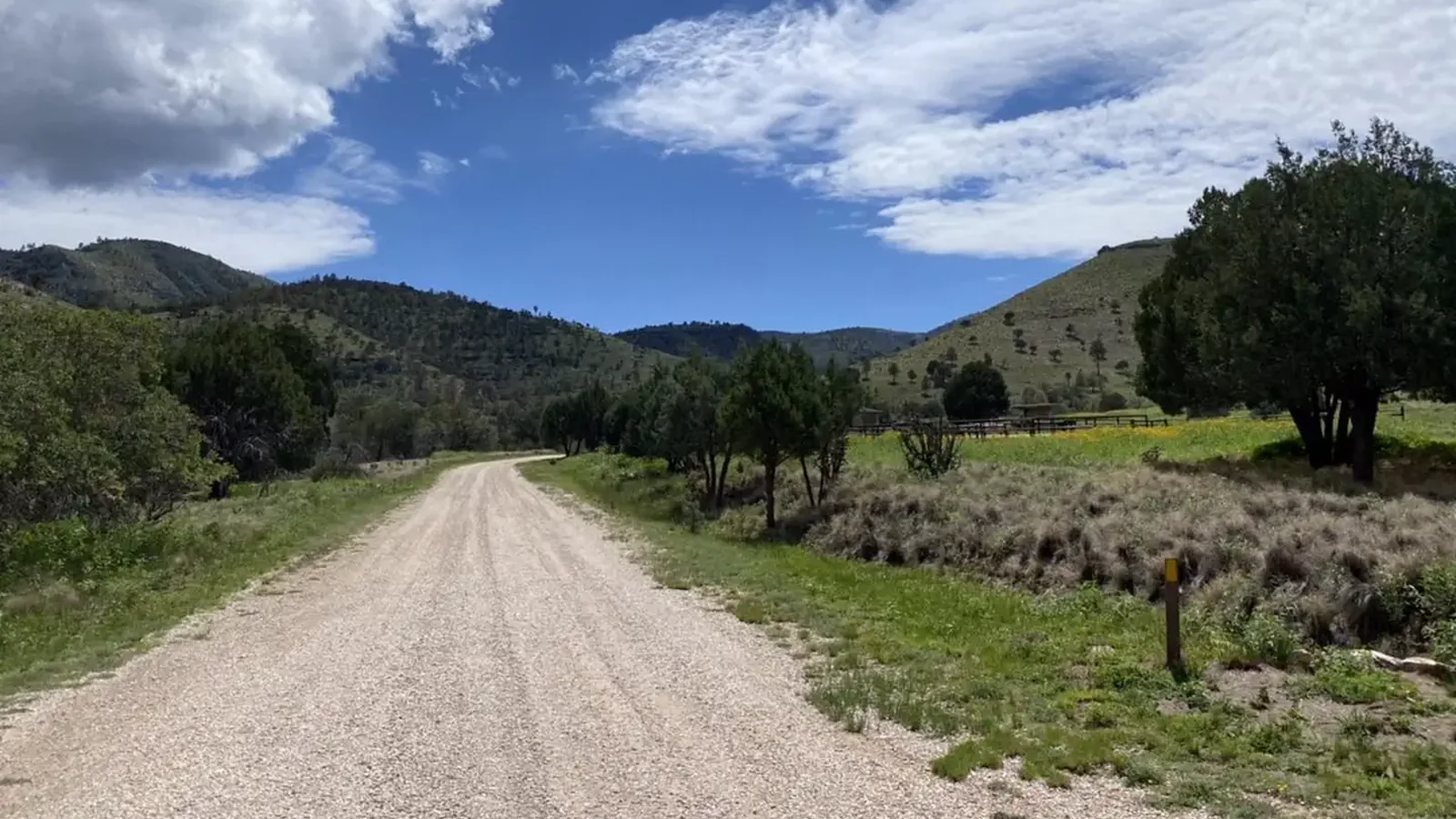 Gravel road accessing Guadalupe Mountains National Park in the Dog Canyon area. Green grass, trees and mountains surround the road.