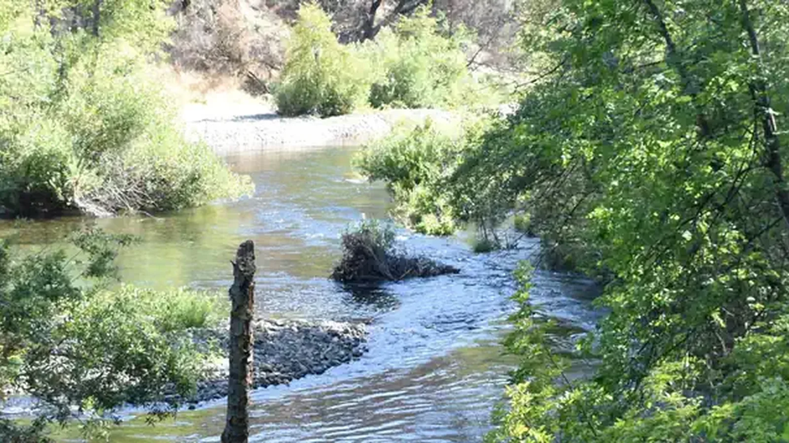 Clear Creek at Peltier Bridge Campground