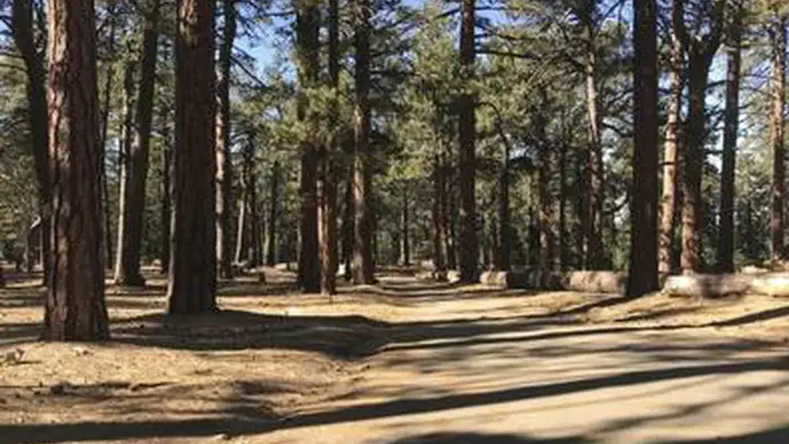 CAMPO ALTO CAMPGROUND