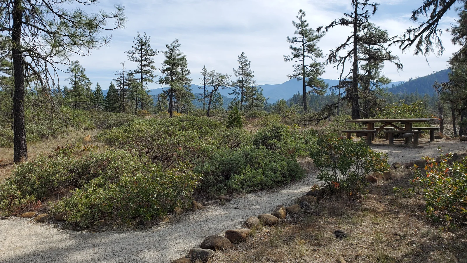 Picnic table along the Rough and Ready Flat trail.