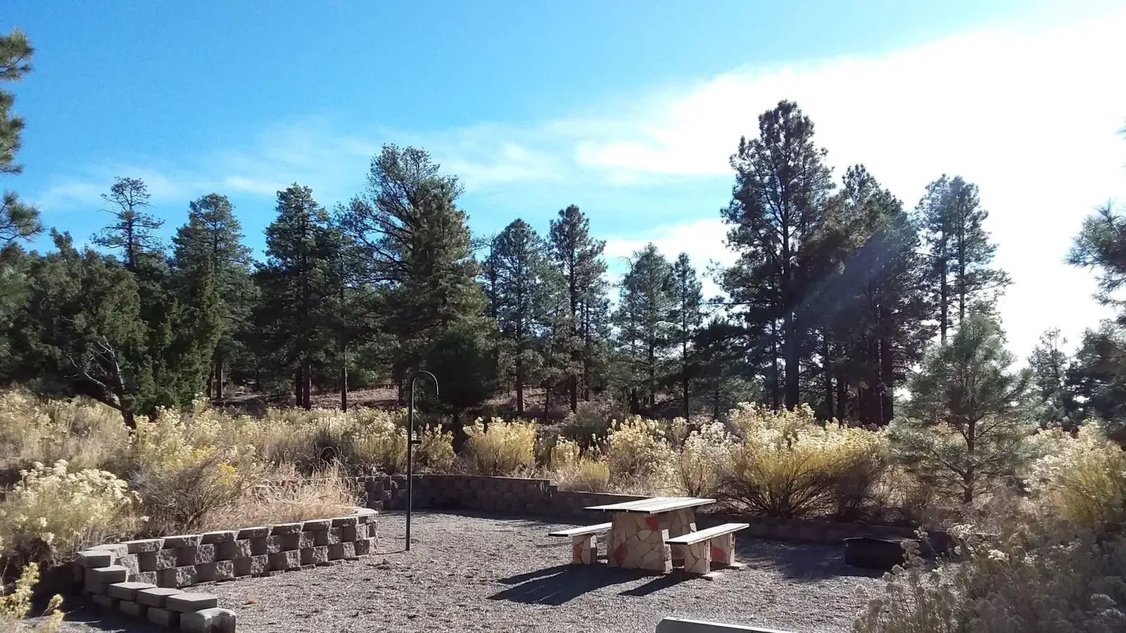 Site view of trees and shrubs, with a table and post.
