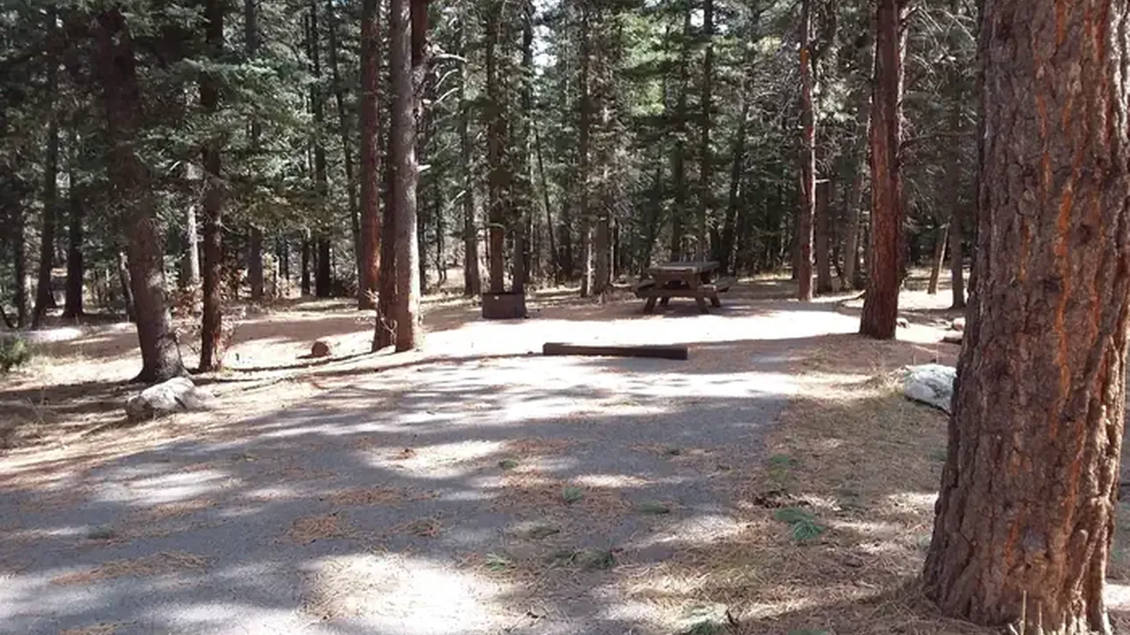 Site 6