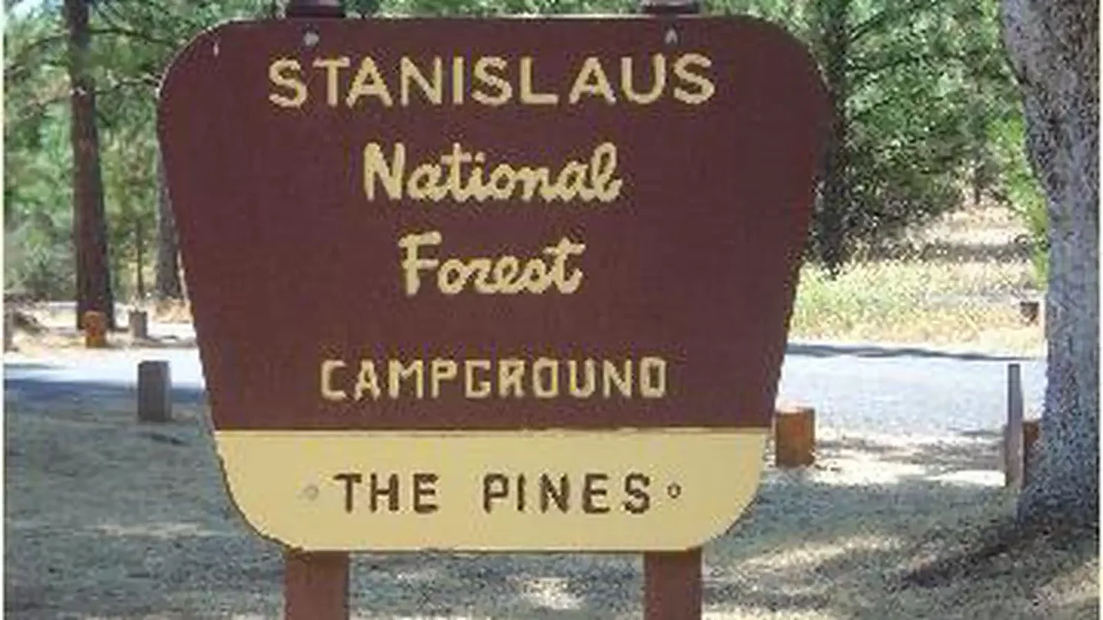 The Pines Campground