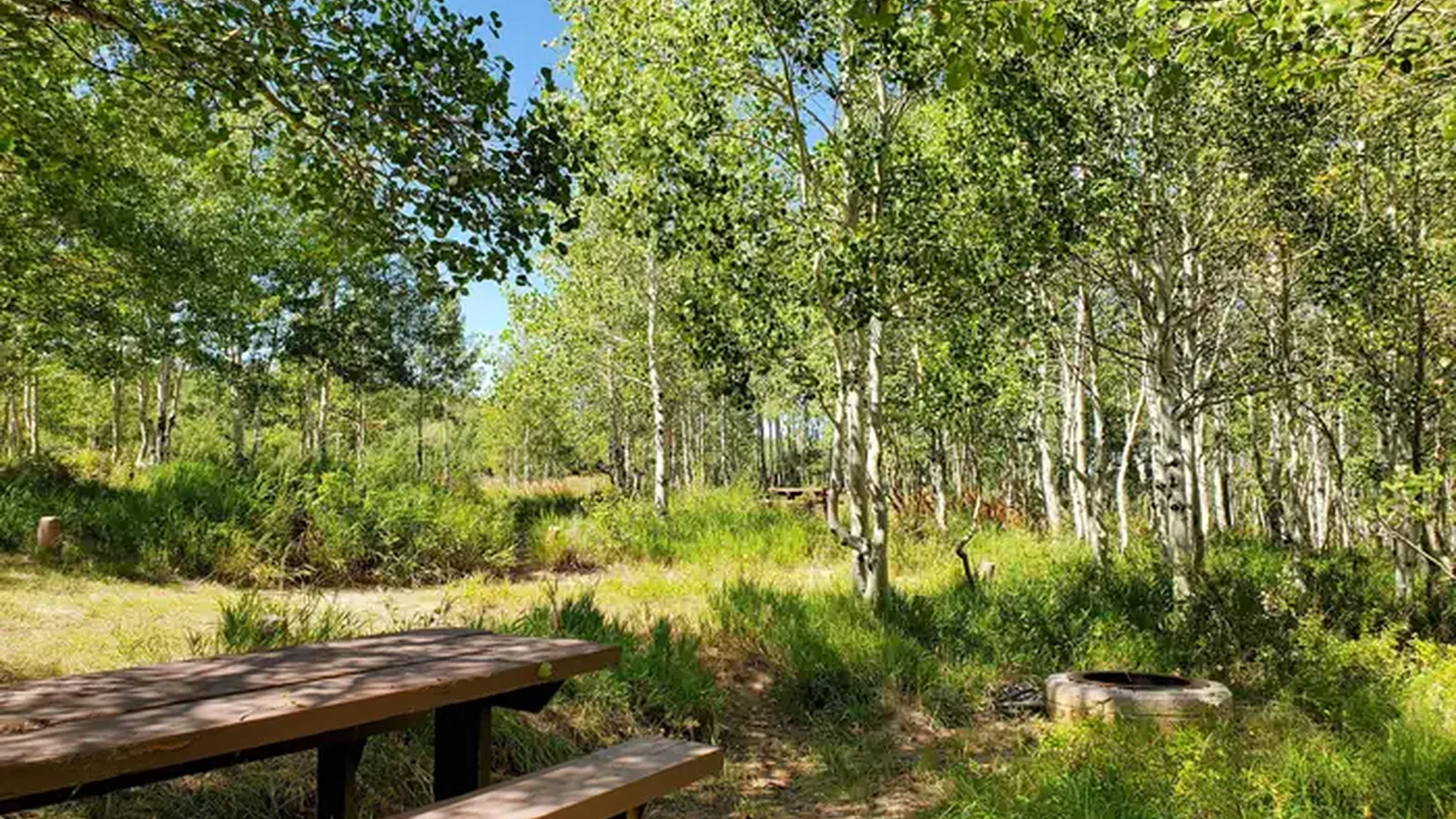 Gooseberry Group Campground Site #8a