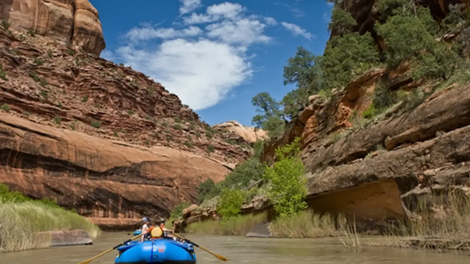 Dolores River Whitewater Rafting
