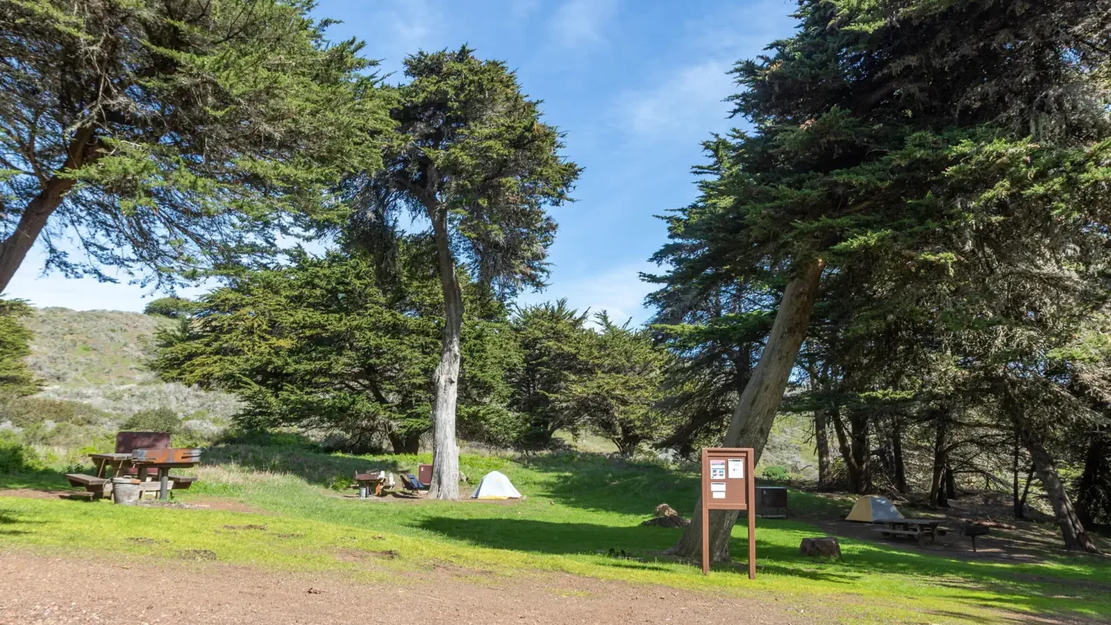 Sites 1, 2, and 3 of Bicentennial Campground are visible in this wide shot, along with the campground bulletin board. Each site has a picnic table, grill, and two of them are occupied with campers and have tents. Around the site are tall coniferous and monterey cypress trees.