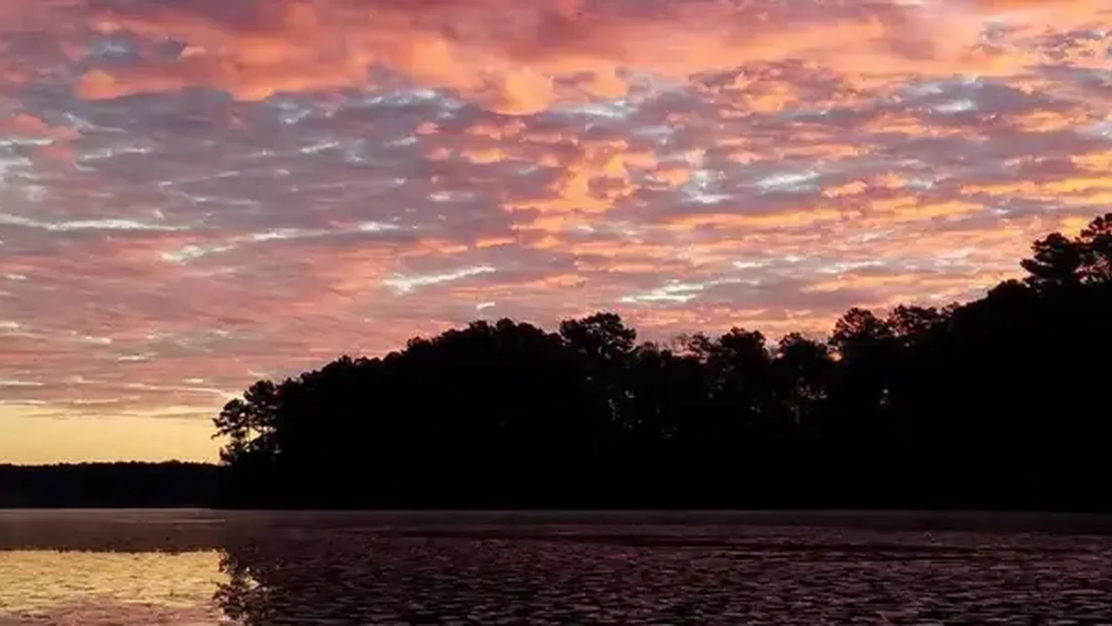 National Forest in Mississippi