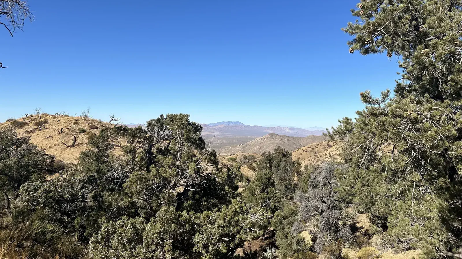 View from Mid Hills Campground