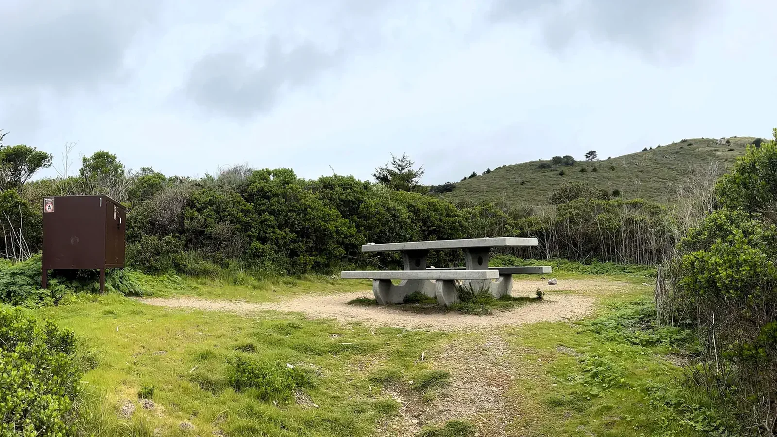 Coast campsite 1 with bear box and picnic table.