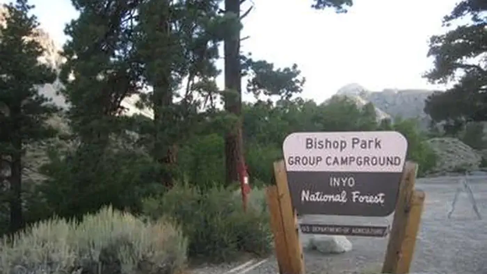BISHOP PARK GROUP