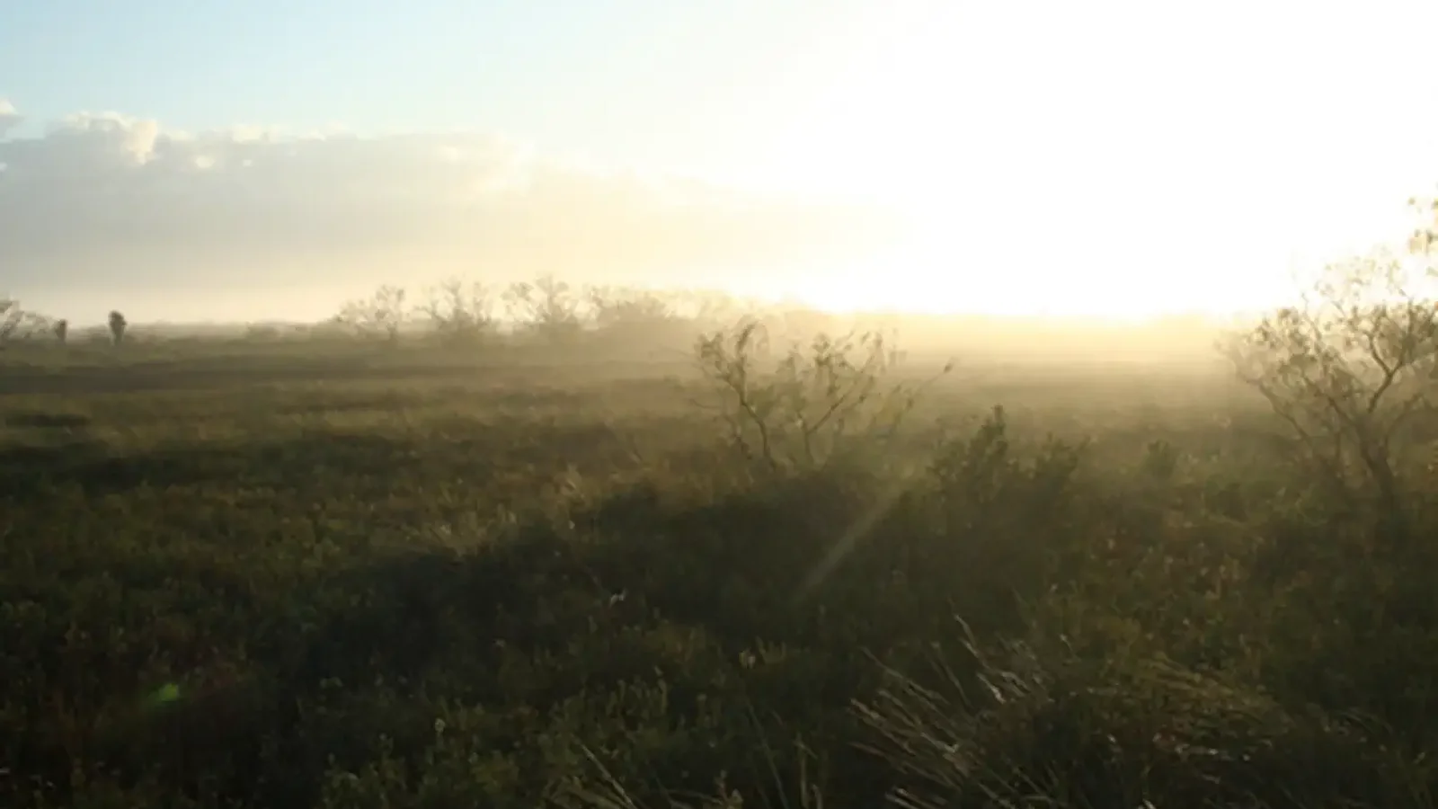 Sunrise