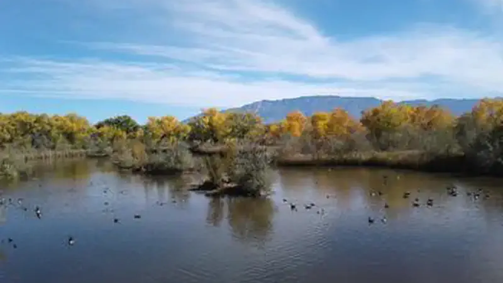 Rio Grande Nature Center State Park