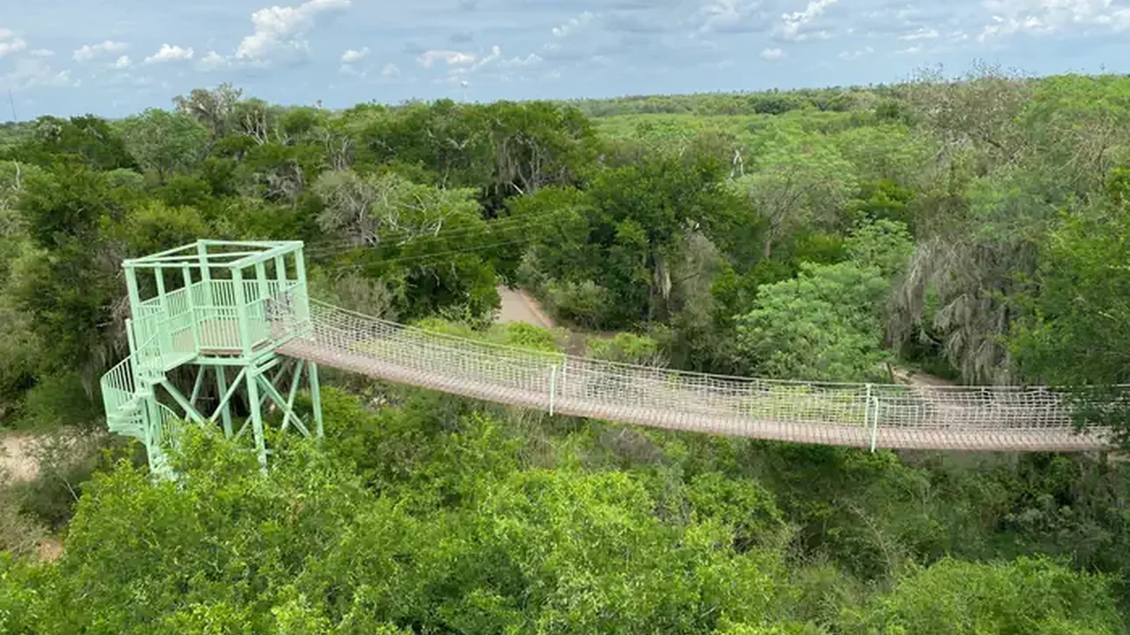 A skyline view of a green wooded area with a suspended walking bridge at tree level connecting to a high rise platform