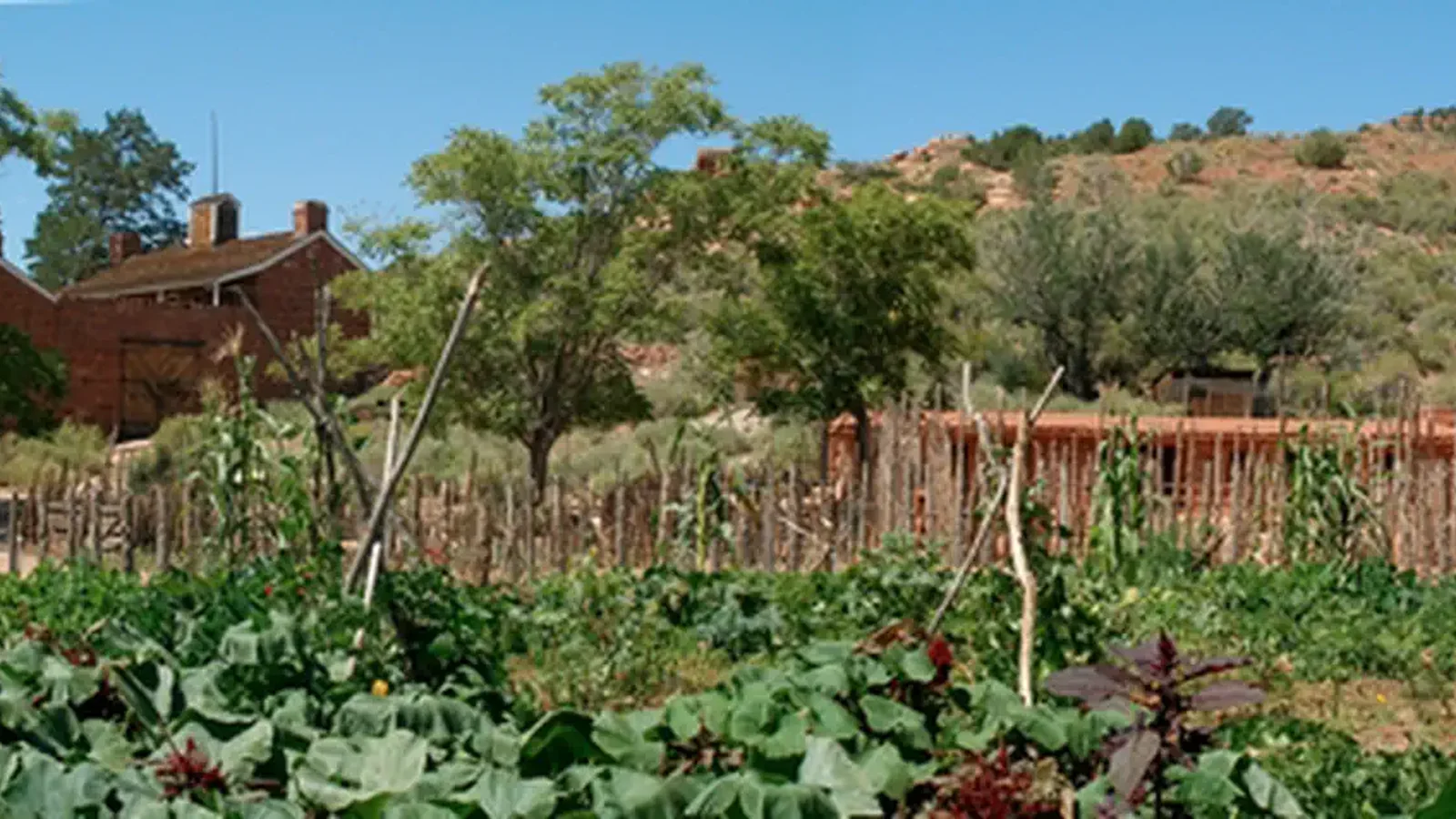 Historic Garden at Pipe Spring