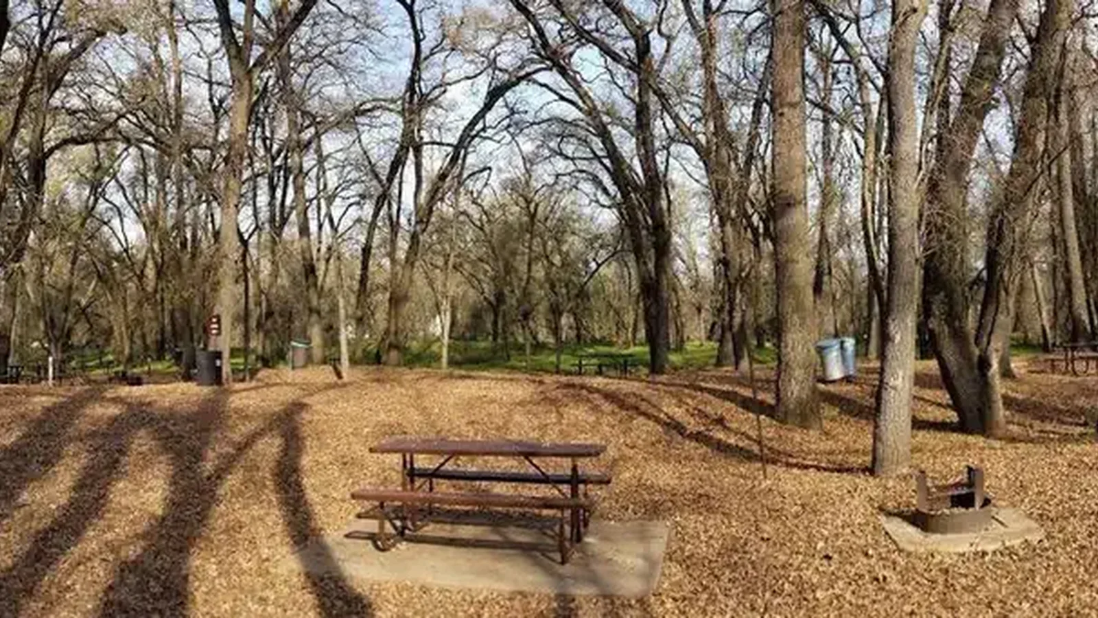 Valley Oak Campground