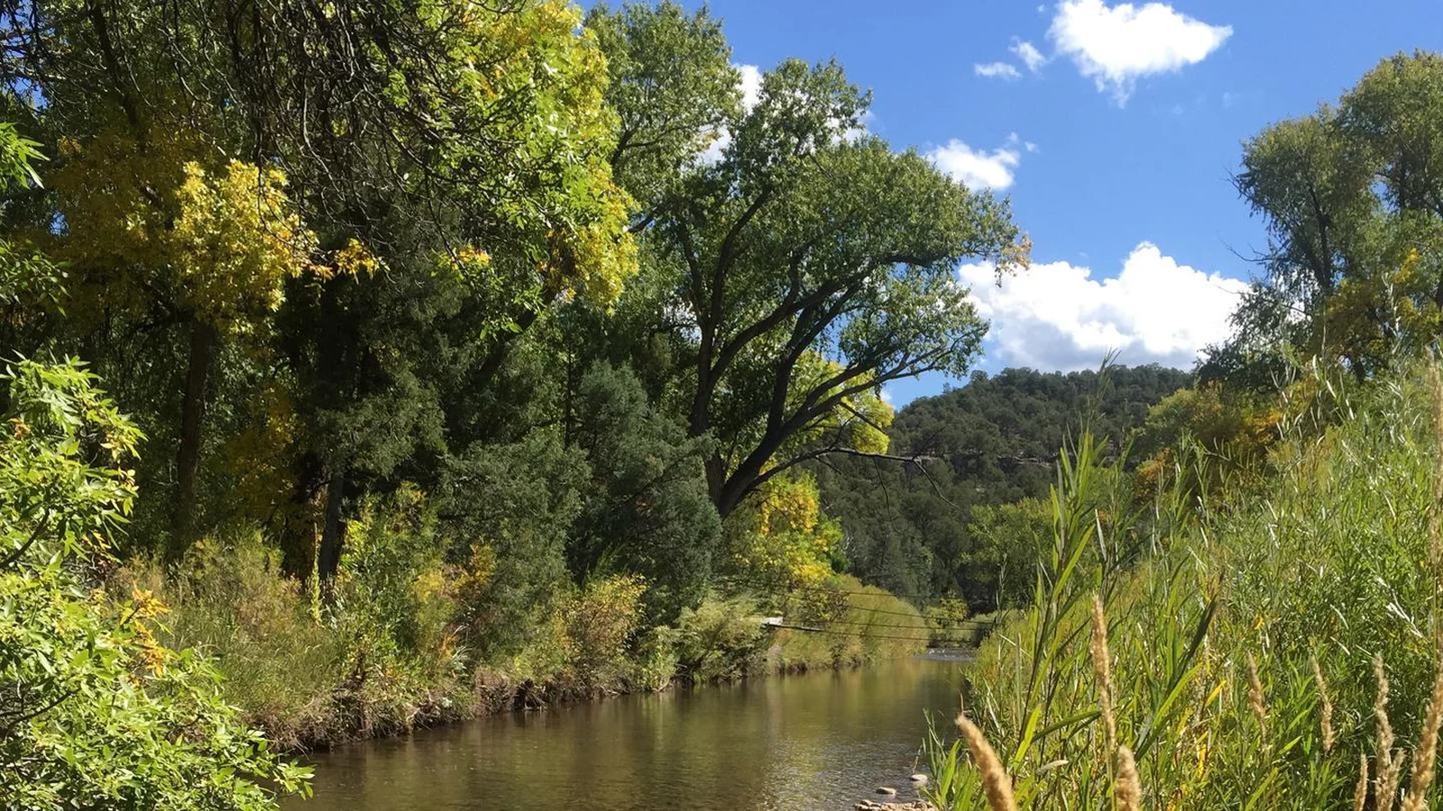 Stretch of the Pecos River in early fall.