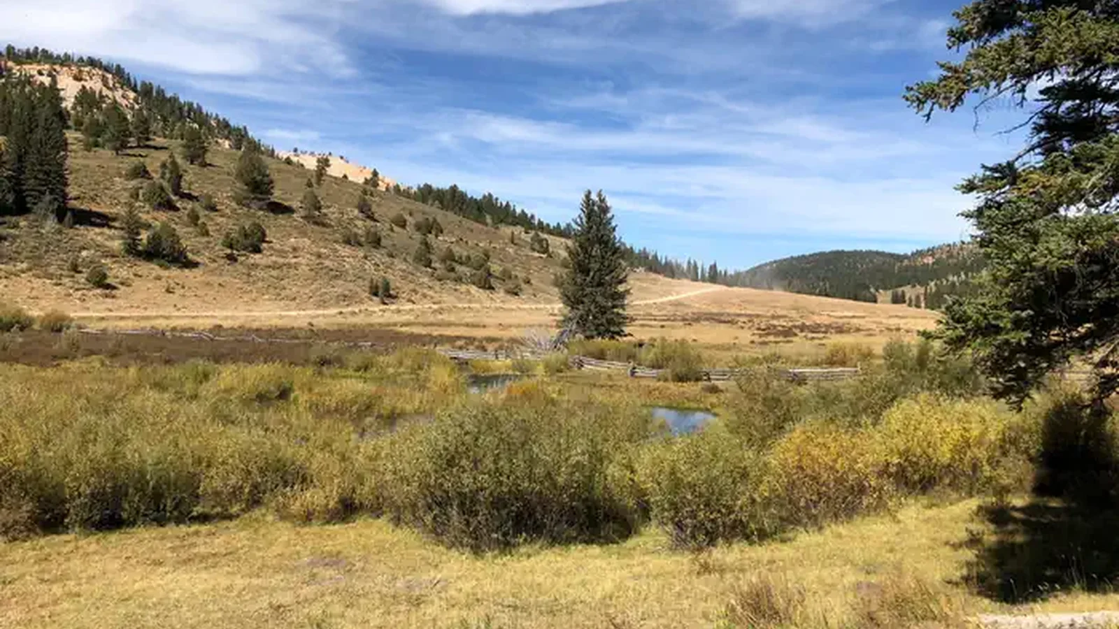 Rolling hills, creek and road