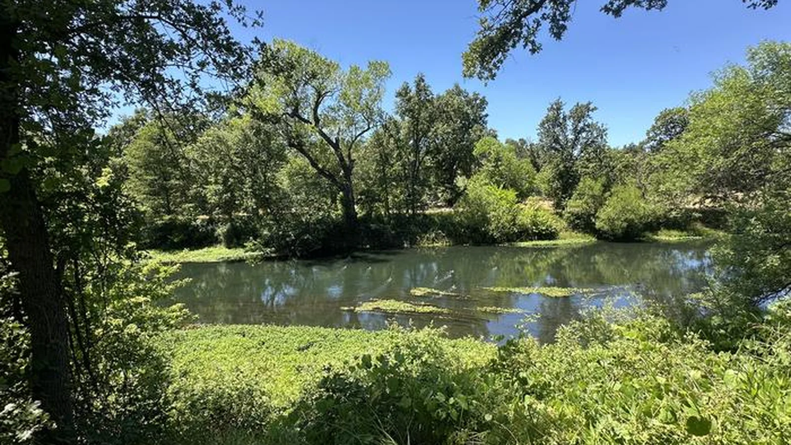 View from Campsite of Sacramento River Side Channel