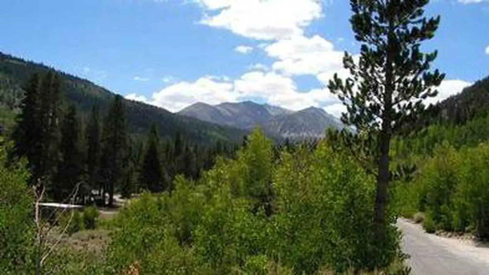 East Fork view