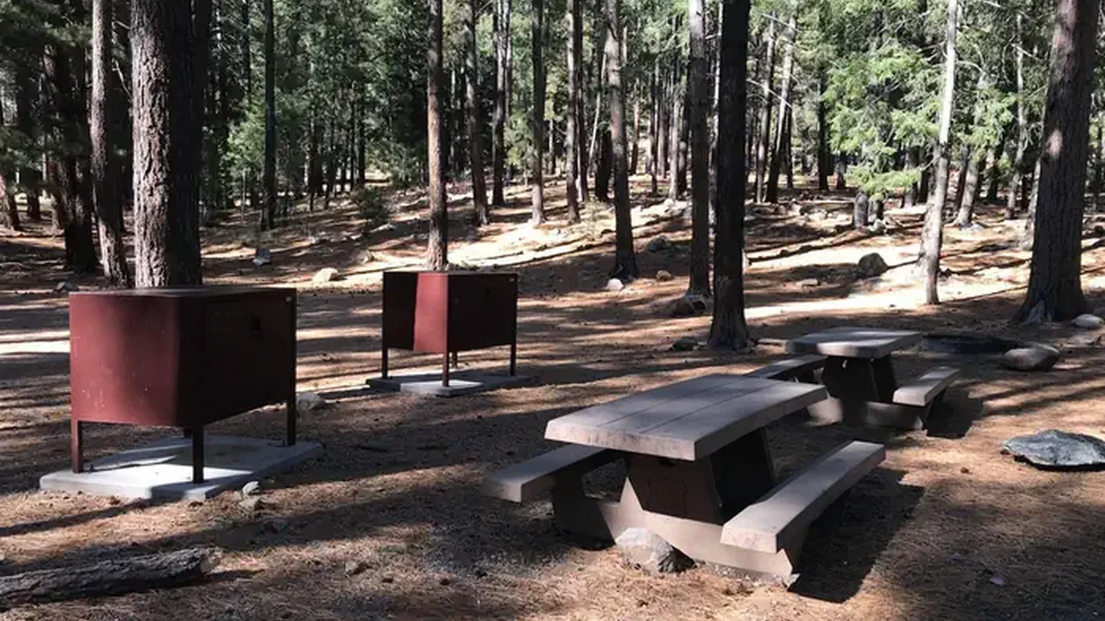 Lower Twilight Group Site