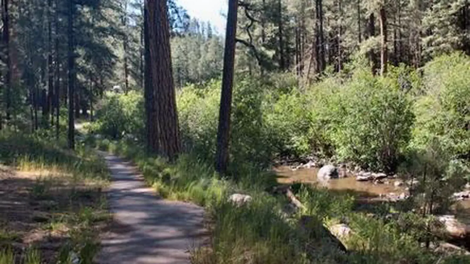 SAN ANTONIO CAMPGROUND