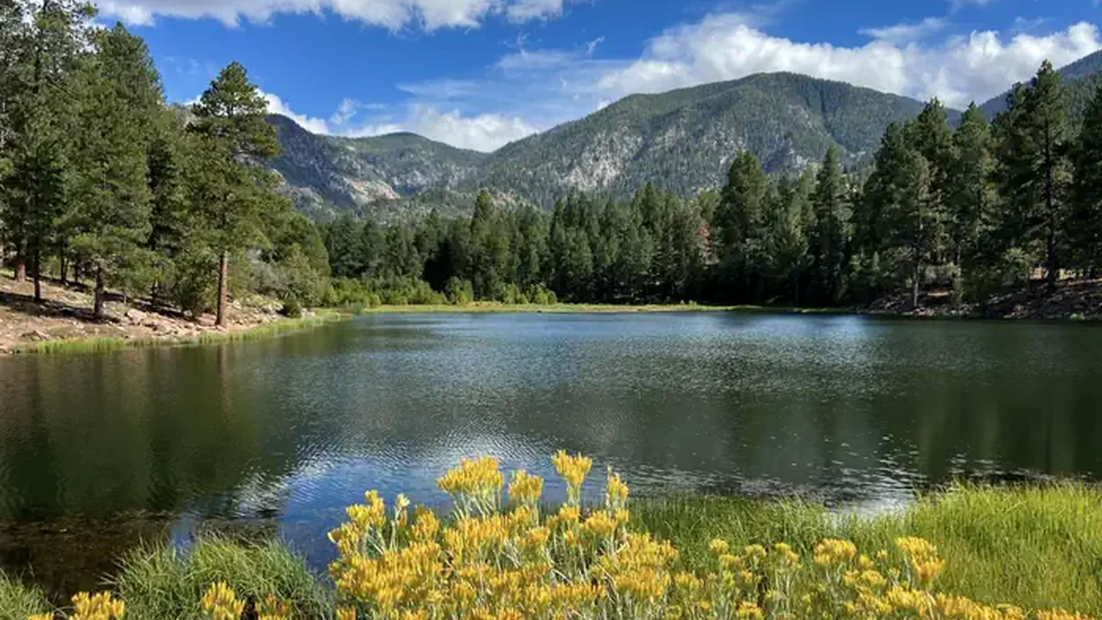 Pine Valley Recreation Area