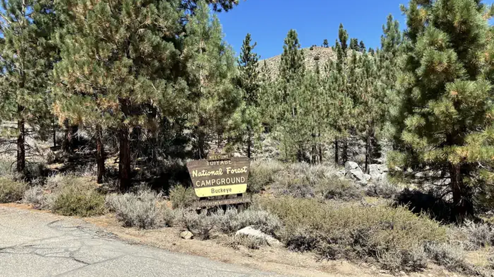 A photo of facility Buckeye with No Amenities Shown