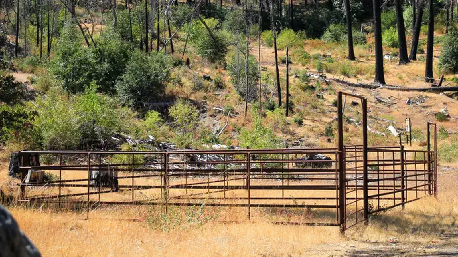 Dixie Glade Corral