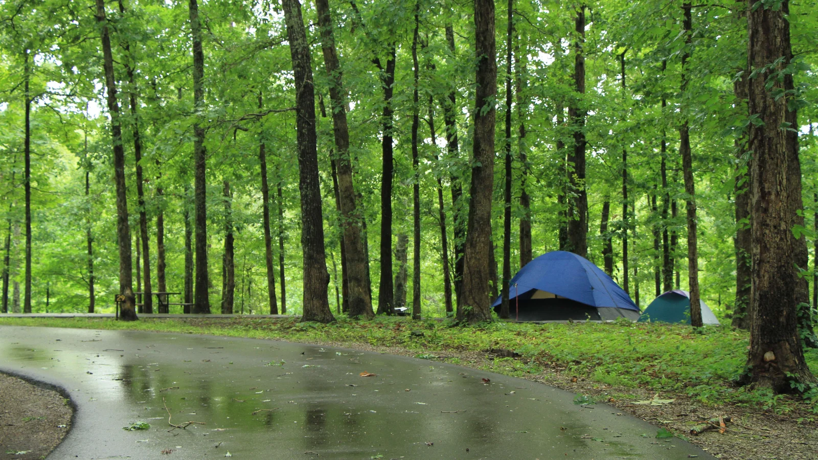 Tent camping at the Meriwether Lewis Death and Burial Site Campground