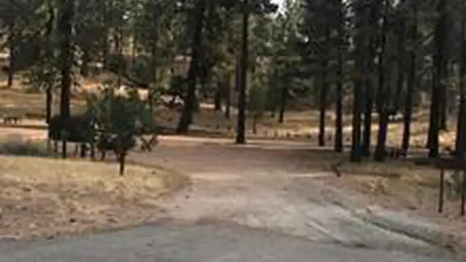 PINE MOUNTAIN CAMPGROUND