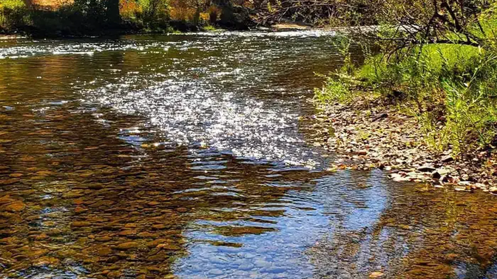 River view from Site 3