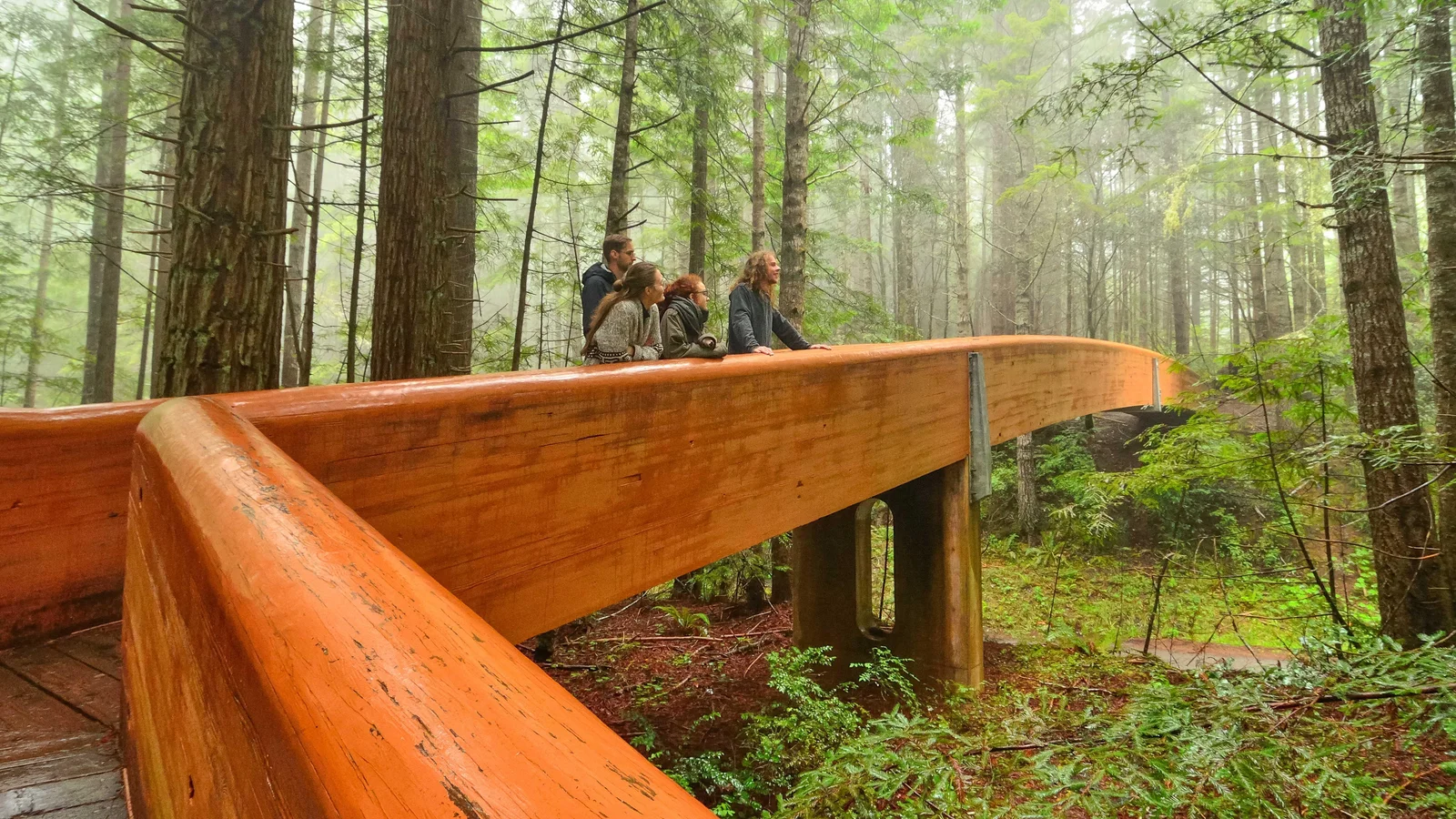 Visitors on walkway to Lady Bird Johnson Grove