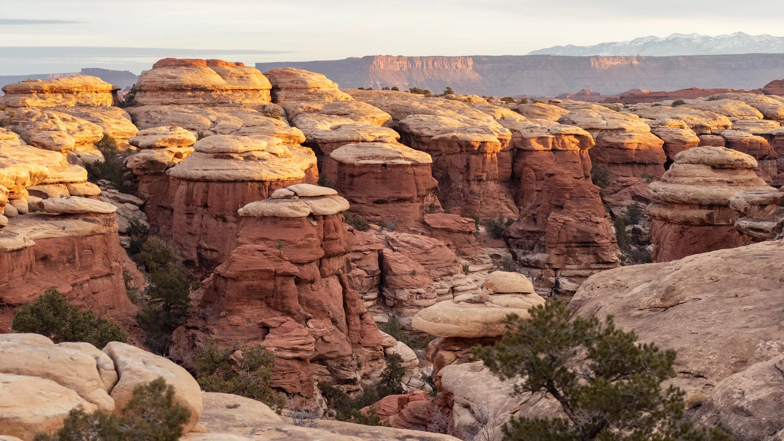 Canyons in The Needles district