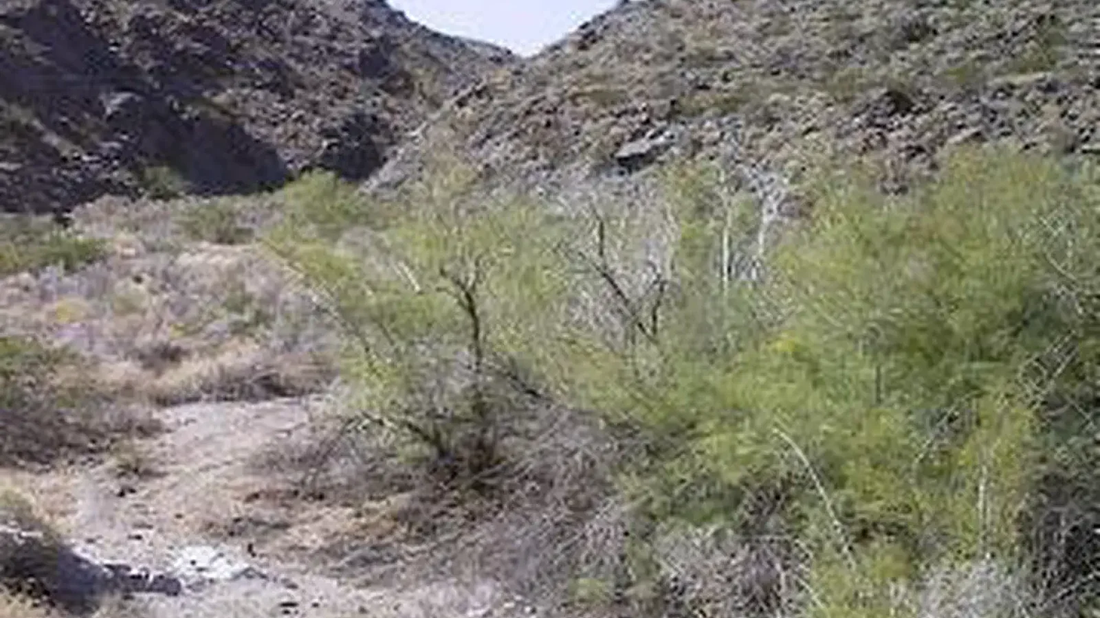 Dead Mountains Wilderness