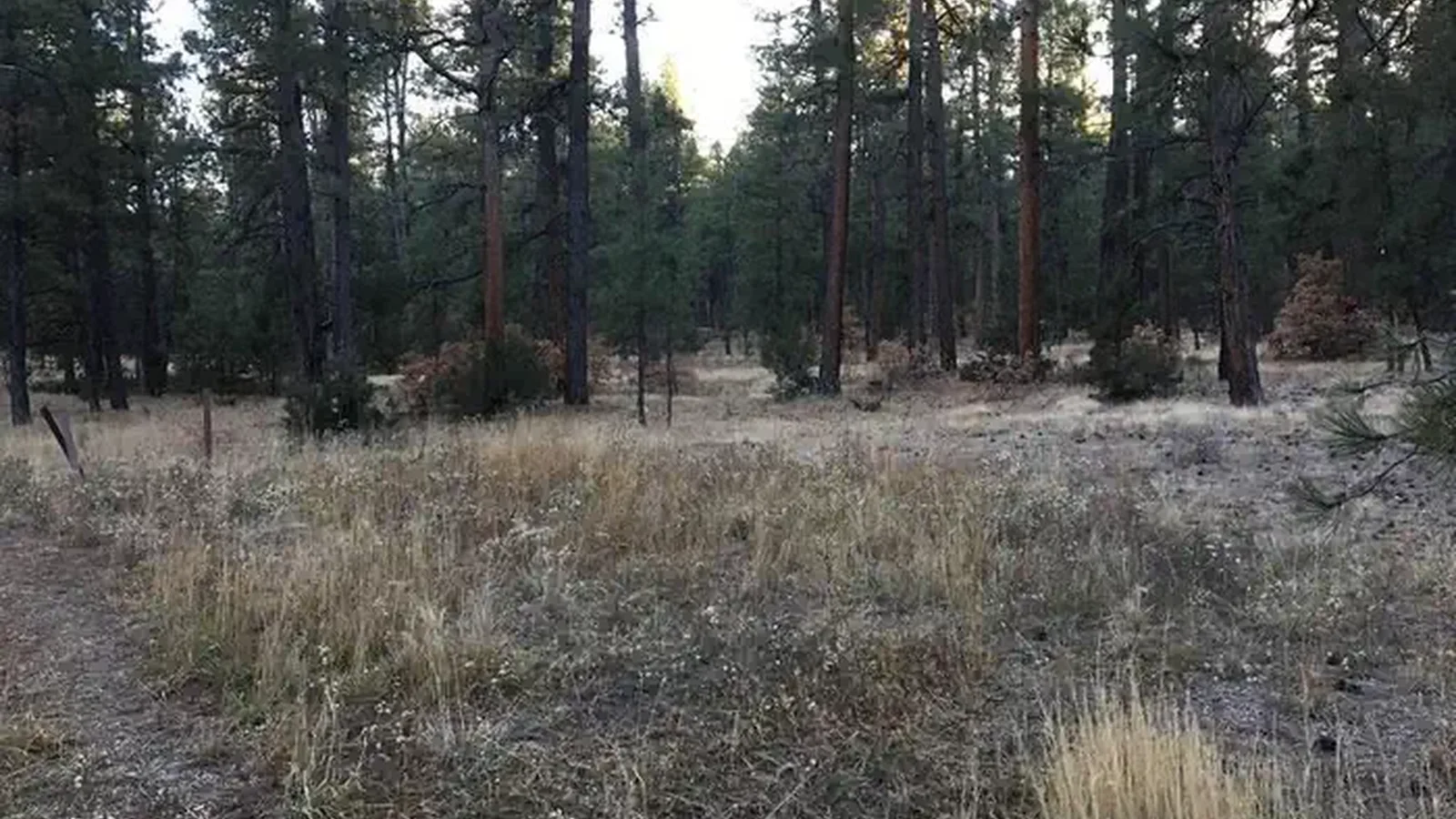 Amole Canyon RV Site
