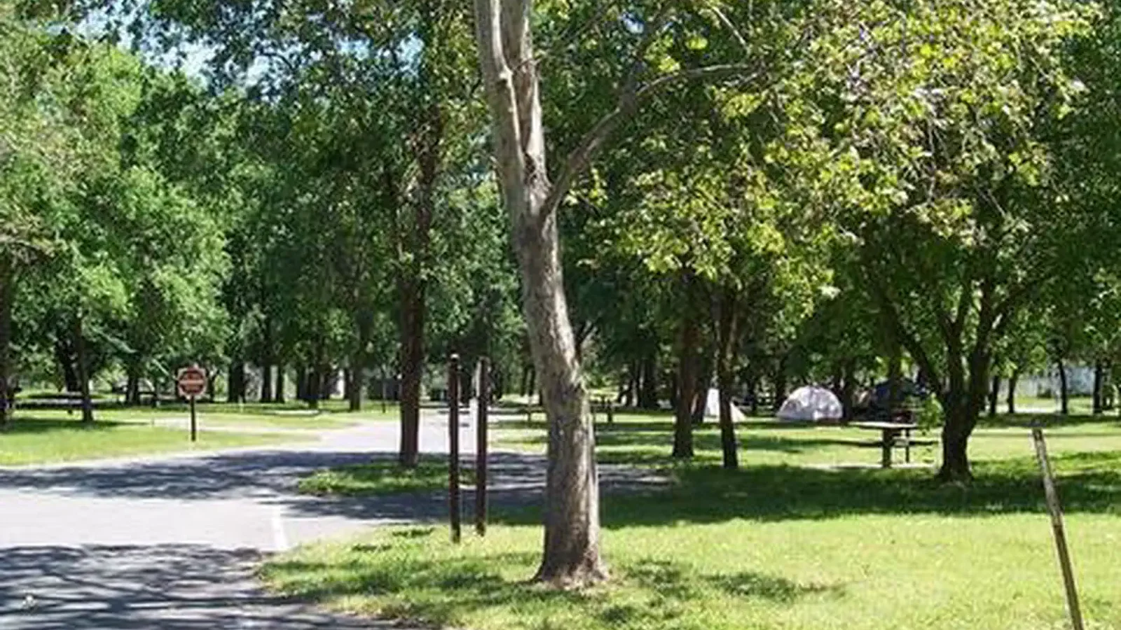 Many sites are shaded
