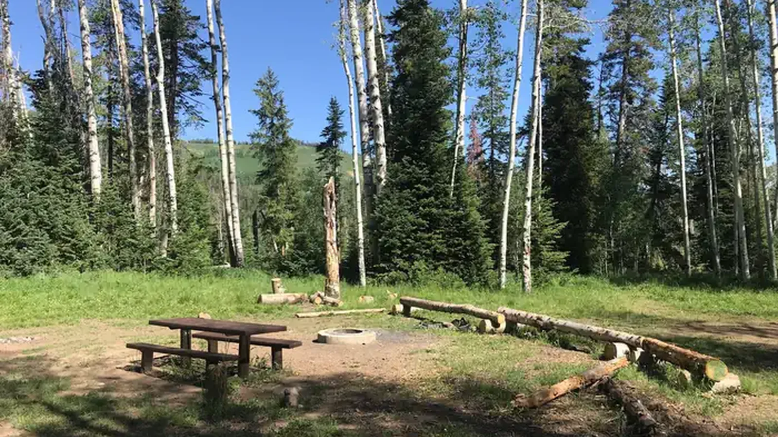 Miller Flat Reservoir Campground Site 4