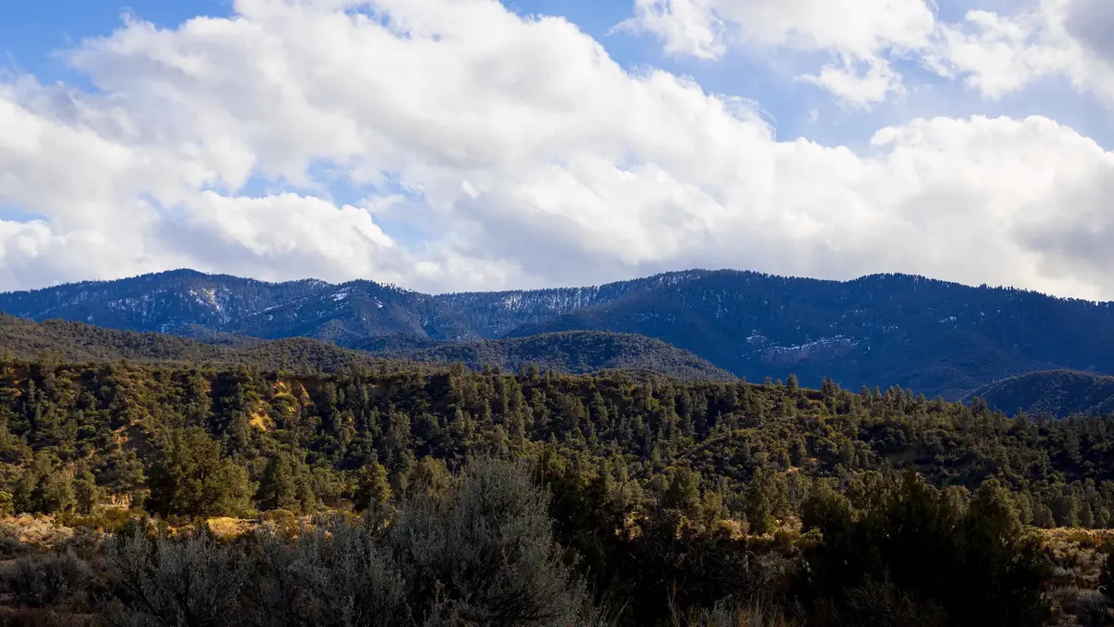 Reyes Creek Snow