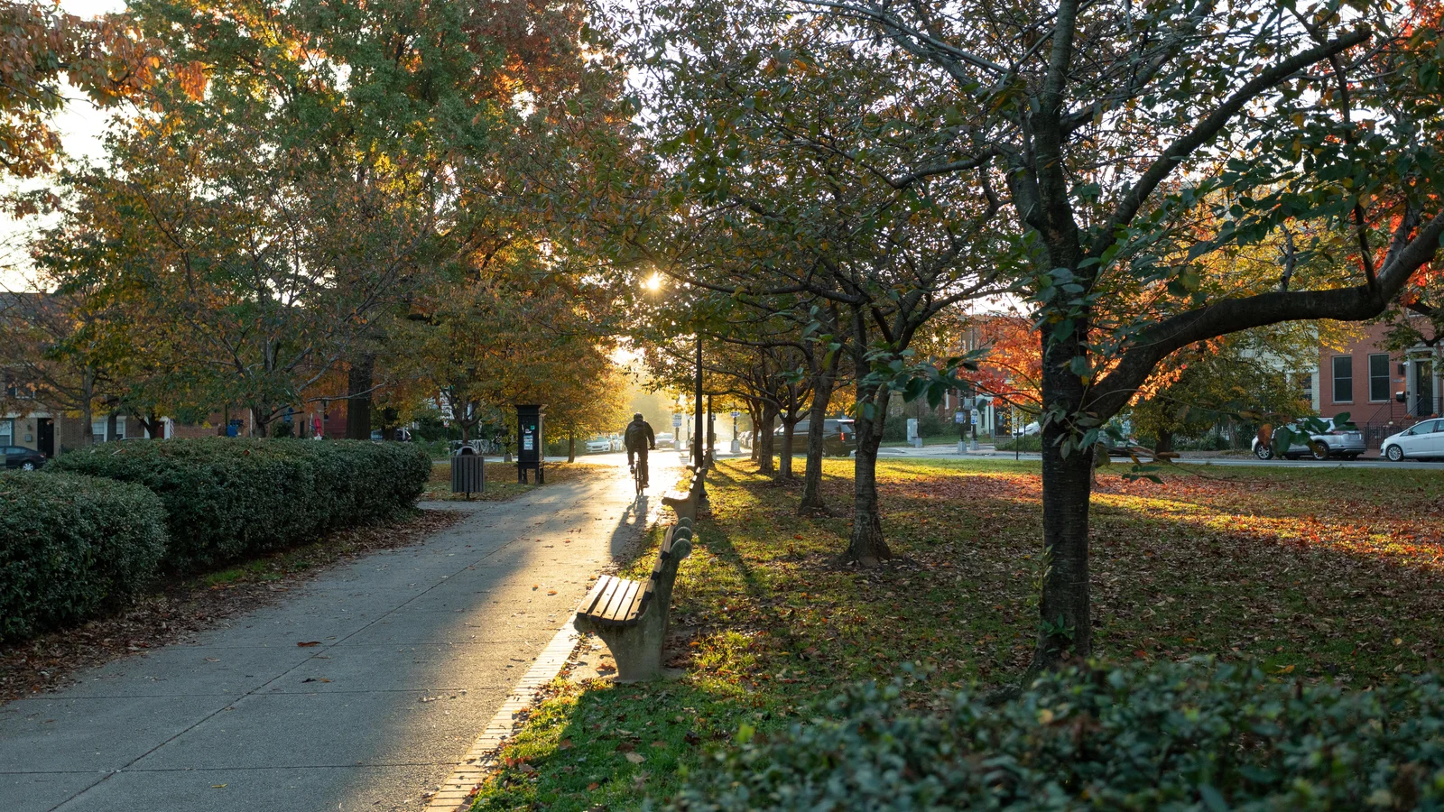 Lincoln Park