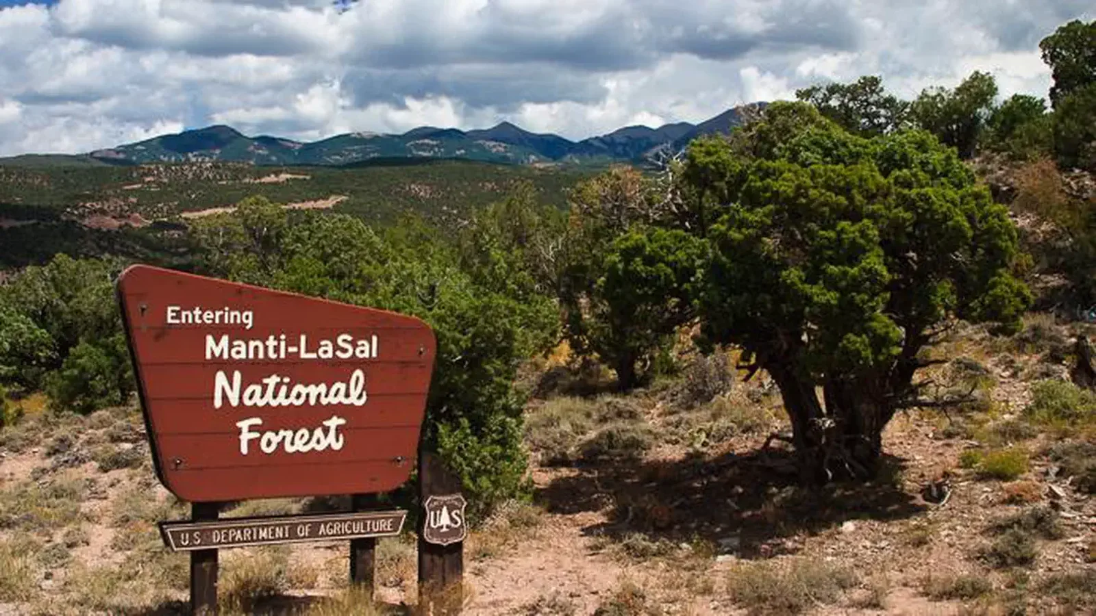 Forest near Devils Canyon CG