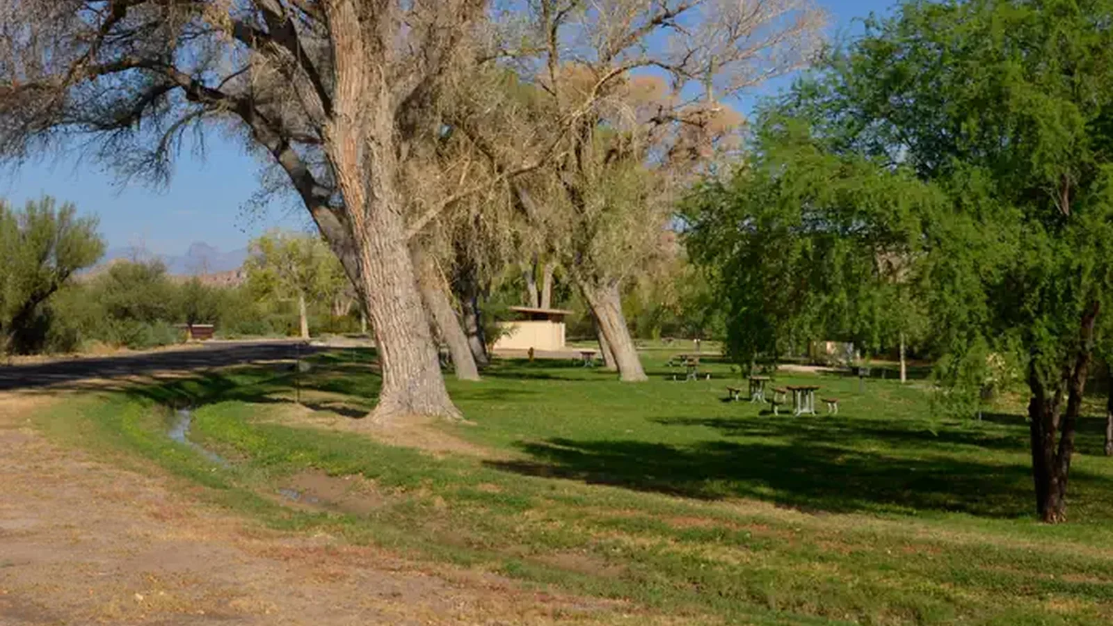 Large Cottonwood trees line the group campsites and shade green grassy areas.