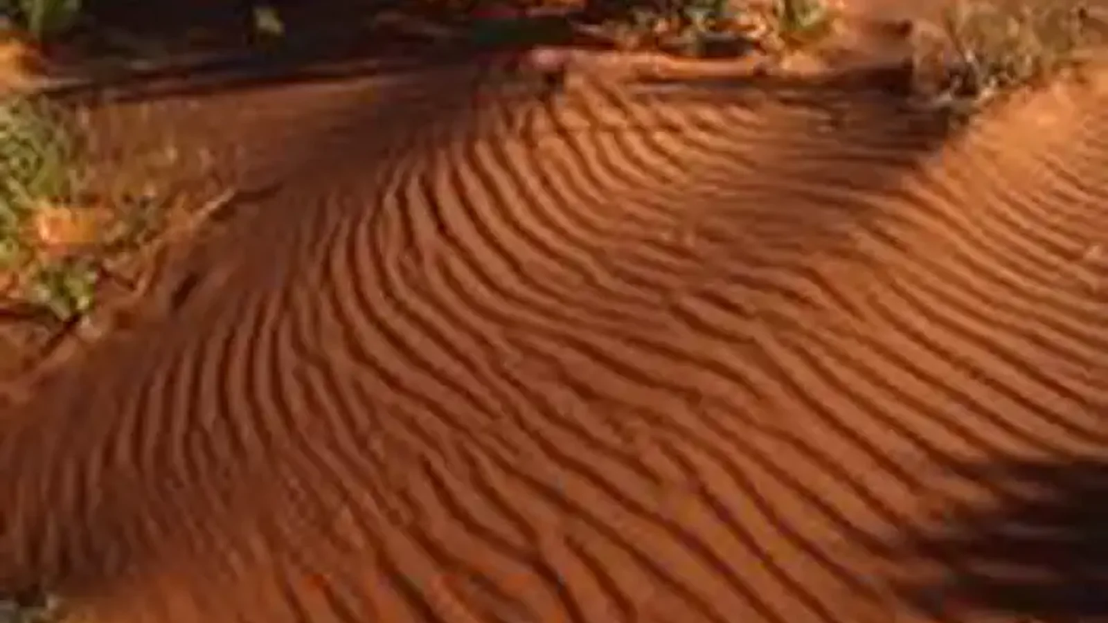 Coral Pink Sand Dunes
