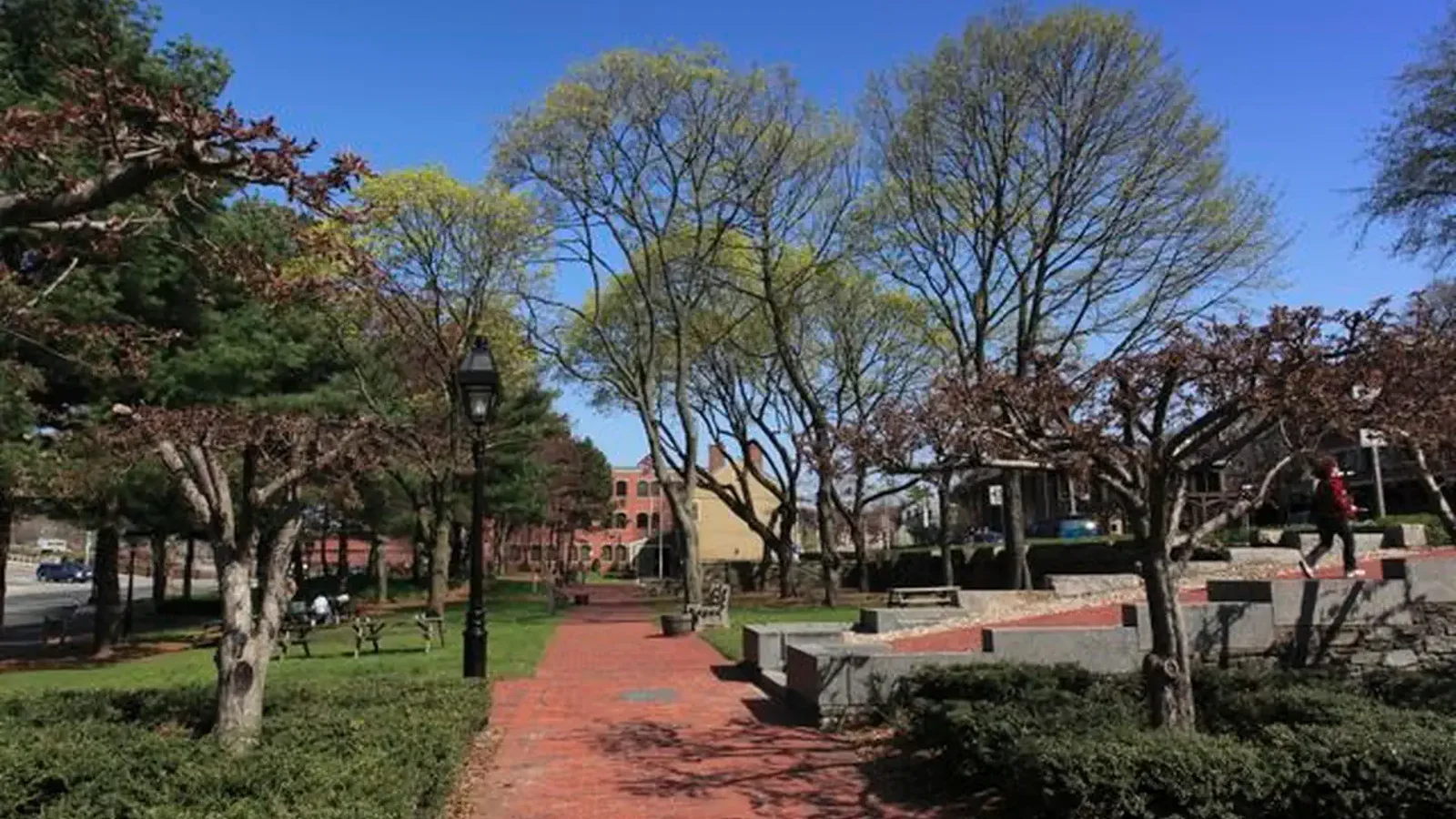 View of the park in early spring.