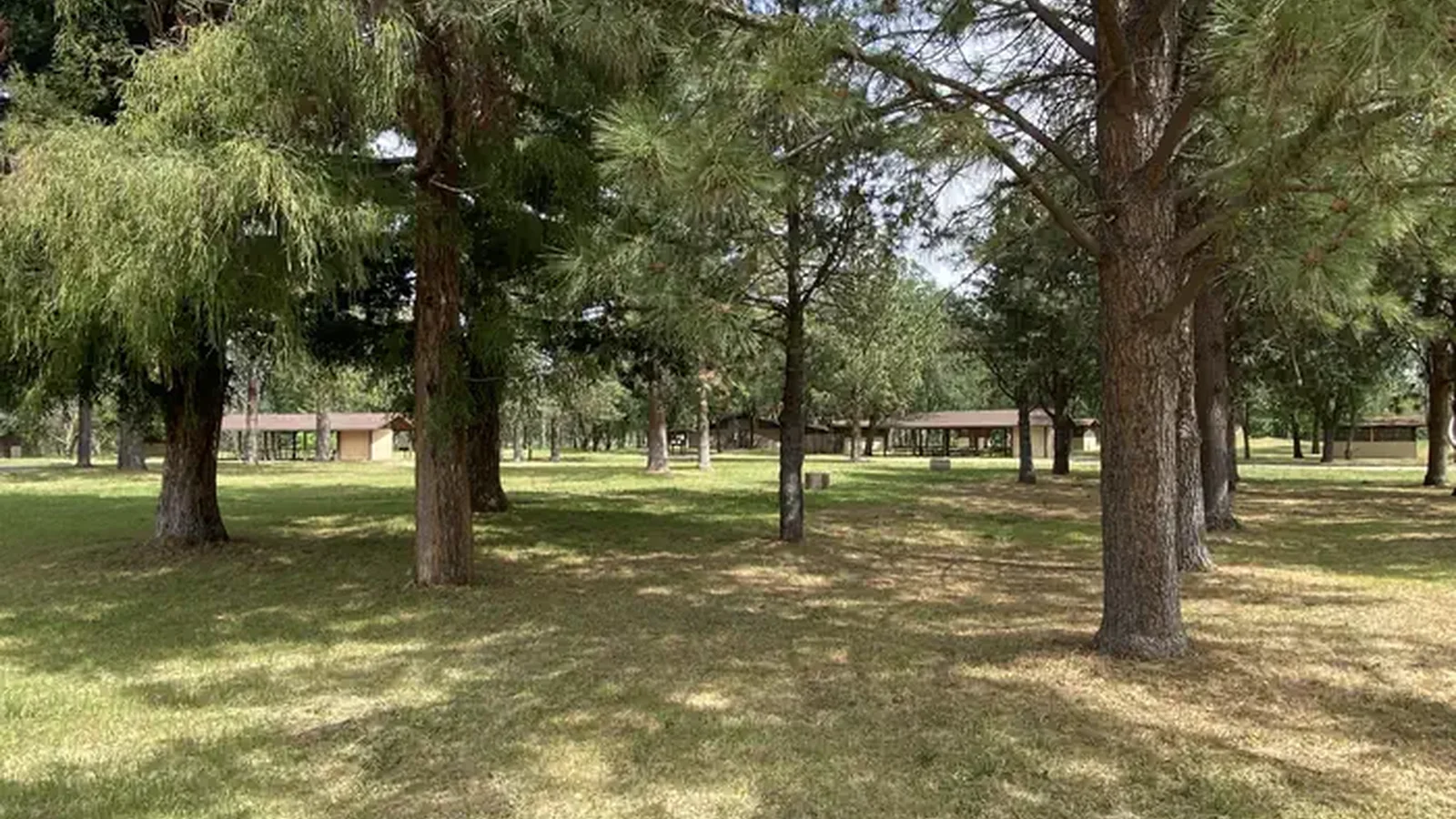 Plentiful shade in the campground