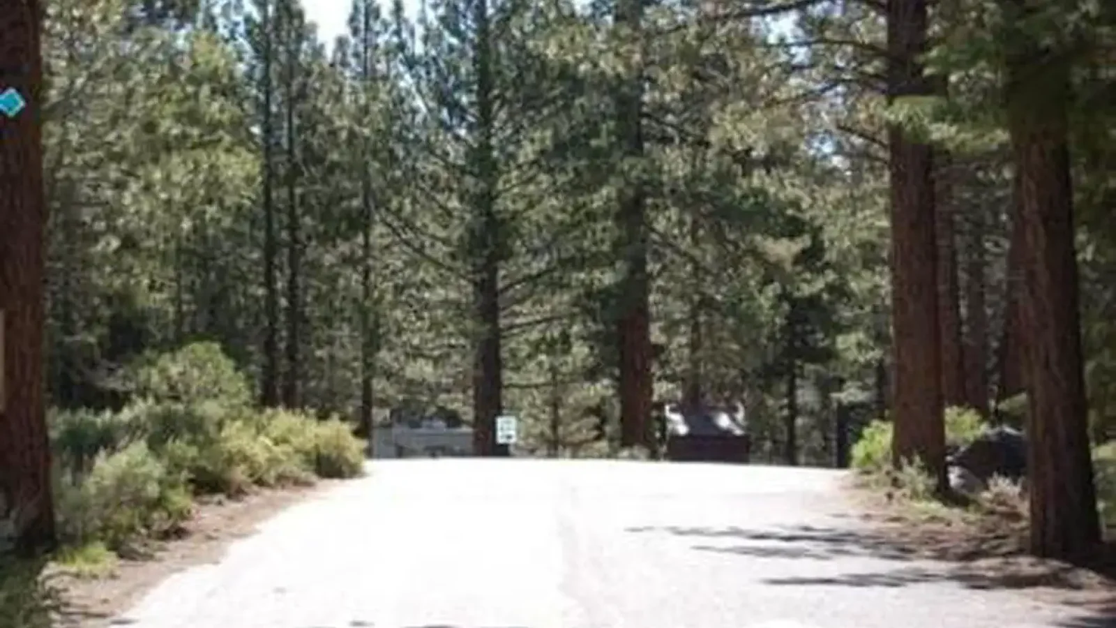 PINE GLEN